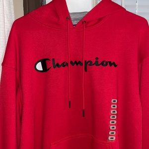 Mens champion hoodie NWT size large.